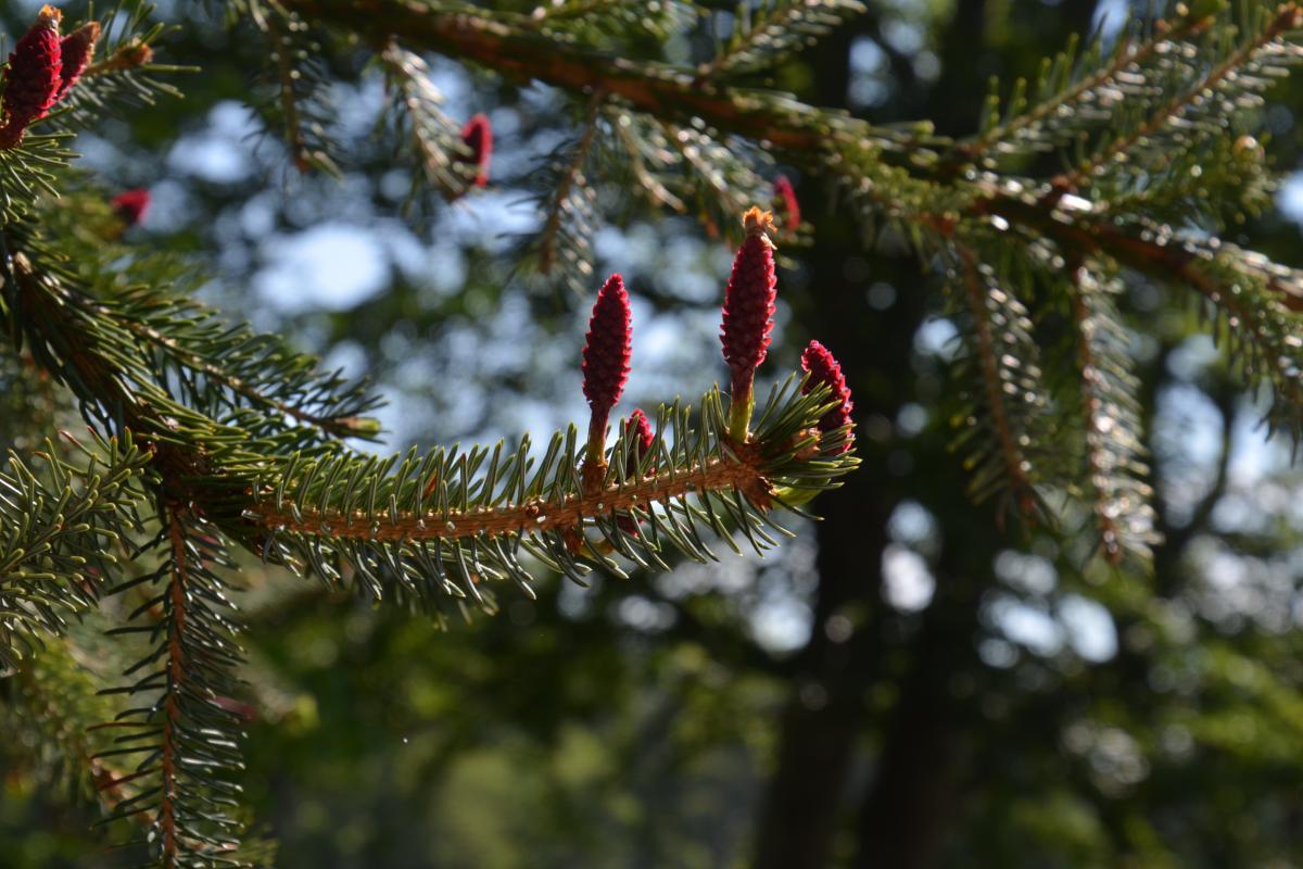 Rielingerhof 06.06.2019